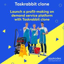Transform Your Business with Appkodes TaskRabbit C, Miami