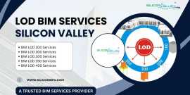 LOD BIM Services Consultant- USA, Houston