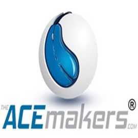 Best Digital Marketing Company in India - Acemaker, Delhi