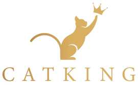 Best Cat Breeder Canada | Kitten Breeders Toronto, Toronto