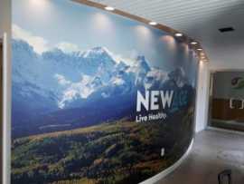 Transform Your Space with Stunning Wall Murals, New Rochelle