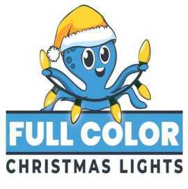 Full Color Christmas Lights, Austin