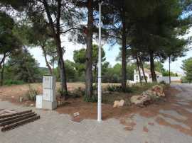 Discover Denia: Your Ultimate Guide to Buying Prop, Alicante