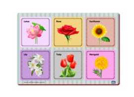 Two Piece Puzzle: Ideal for Toddlers, Bengaluru