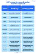 Differences Between Training And Development, New York