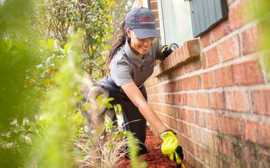 Buzz Boss Effective Pest Control Company in Regina, Calgary