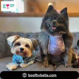 Pawsome Dog Clothes at BoofbyBella for Pets, New Delhi