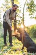 Comprehensive Course for Animal Care, Canberra