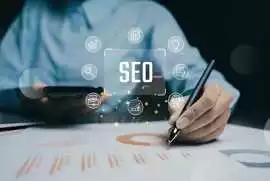 Professional SEO Consulting Services, Mohali