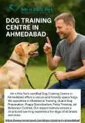 Experienced Dog Training Centre in , Ahmedabad