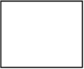 Texas Lobbyist Steve Koebele, Austin