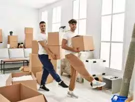 Freight Forwarding Services for Safe Transport, North York