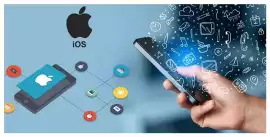 Affordable Mobile App Services in Lucknow, Lucknow