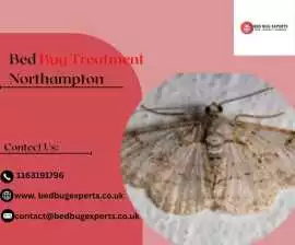 Looking for Trusted Bed Bug Treatment Northampton?, Leicester