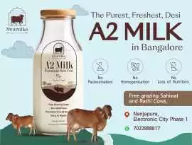 a2 gir cow milk in Bangalore , ₹ 120