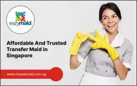 Affordable And Trusted Transfer Maid in Singapore, Bukit Timah