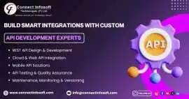 Smart Integrations with Custom API Development, Miami