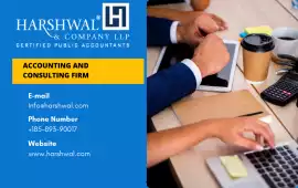 Professional Accounting and Consulting Firm, San Diego