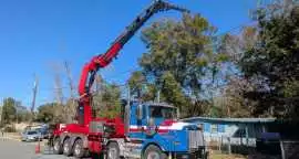 Tree Trimming & Pruning Orange Park, FL, Jacksonville