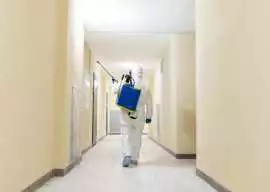 Your Trusted Pest Control Company for Every Season, Calgary