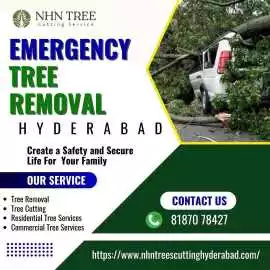 Emergency Tree Removal in Hyderabad, Hyderabad