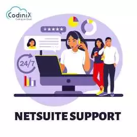 NetSuite Support, Iselin