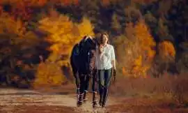 Horseback Riding in Seattle – Nature and Adventure