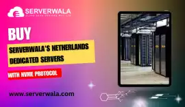 Buy Serverwala's Netherlands Dedicated Servers , Arum