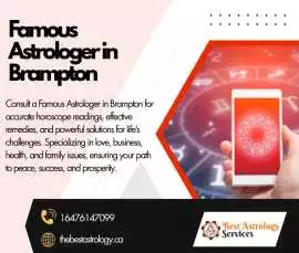  Famous Astrologer in Brampton, Brampton