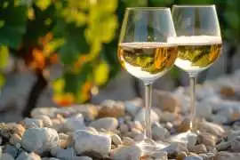 Buy Wine On Sale, $ 20