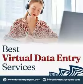 Best Virtual Assistant Data Entry Services, Ahmedabad