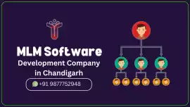 mlm software development company in chandigarh, Chandigarh