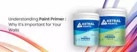 Understanding Paint Primer It’s Important for Wall, Ahmedabad