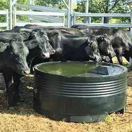 Keep Your Flock Hydrated with Tough Built Sheep Wa, ps 0