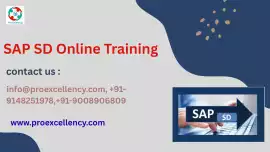 Learn Real-Time SAP SD Scenarios proexcellency, Bengaluru