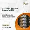 CEPCI Registration Assistance for Exporters, Noida