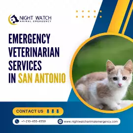 Emergency Animal Hospital Services in San Antonio, San Antonio