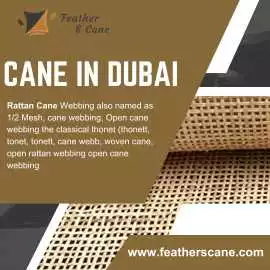 Cane in Dubai, d.ed 111