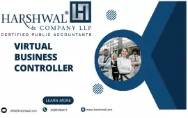 Virtual Business Controller, San Diego