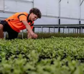 All-in-One Grower Management Software for Greenhou, Portland