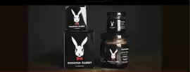 monster rabbit, Dubai