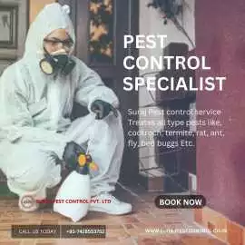 Trusted Pest Control Services in Greater Noida, Noida