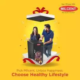 Buy Ghar Ghanti Atta Chakki Direct from Gujarat, $ 15,000