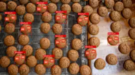 Computer Vision for Biscuit Dimension Measurement, Mississauga