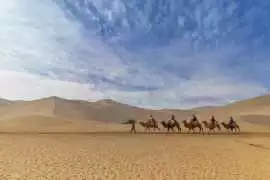 Camel Safari Dubai – Traditional Desert Experience, Dubai