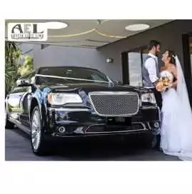 Elegant Limo For A Memorable Wedding Party In Aust, Austin
