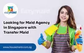 Looking for Maid Agency Singapore with Transfer Ma, Bukit Timah