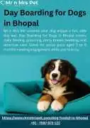 Day Boarding for Dogs in , Bhopal