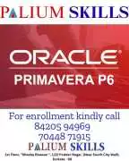 Best Microsoft Project Plan Classes by experienced, Kolkata