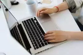 Trusted Link Building Company for SEO Growth, New York